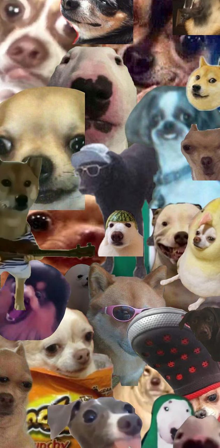 Dog meme by Aubrey011 - on ZEDGEâ, Doggo Meme HD phone wallpaper